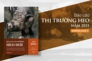 Thị trường heo hơi th&aacute;ng 1/2022: Thị trường thịt heo tiếp tục đối mặt nhiều th&aacute;ch thức