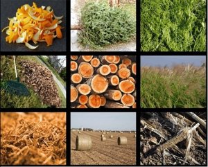 Than sinh học từ vỏ trấu gi&uacute;p cải tạo độ mặn của đất n&ocirc;ng nghiệp