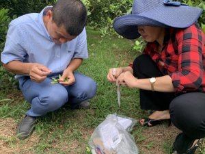  Sức khỏe đất, thực tiễn v&agrave; h&agrave;nh động: Dịch bệnh c&acirc;y trồng, nguy cơ từ suy tho&aacute;i đất 