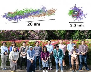 Chuyển gen v&agrave;o ty thể thực vật bằng c&aacute;ch sử dụng ống nano carbon