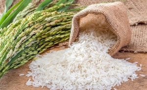 Xuất khẩu n&ocirc;ng, l&acirc;m, thủy sản 8 th&aacute;ng đầu năm 2023 đạt hơn 33 tỷ USD