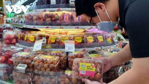 Thị trường H&agrave; Lan: Cửa ng&otilde; cho rau, củ, quả Việt Nam rộng cửa v&agrave;o EU