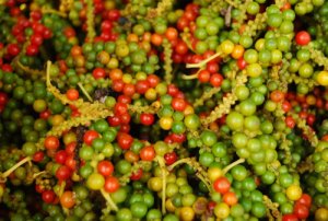 Xuất khẩu hạt ti&ecirc;u tăng về lượng, nhưng giảm về kim ngạch