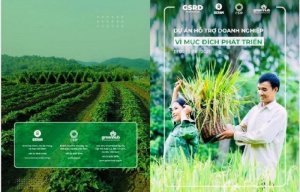 Doanh nghiệp kinh doanh tạo t&aacute;c động trong chuỗi gi&aacute; trị n&ocirc;ng nghiệp
