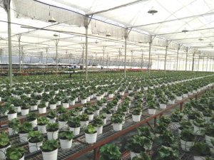 Tăng cường công tác thông tin trong nghiên cứu khoa học công nghệ ngành nông nghiệp