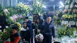 Nhập khẩu hoa v&agrave; c&acirc;y cảnh tăng mạnh