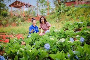 Để &ldquo;c&ocirc;ng nghiệp kh&ocirc;ng kh&oacute;i&rdquo; ở n&ocirc;ng th&ocirc;n ph&aacute;t triển bền vững