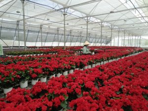 Khuyến kh&iacute;ch doanh nghiệp tham gia li&ecirc;n kết chuỗi sản xuất sản phẩm n&ocirc;ng, l&acirc;m, thủy sản
