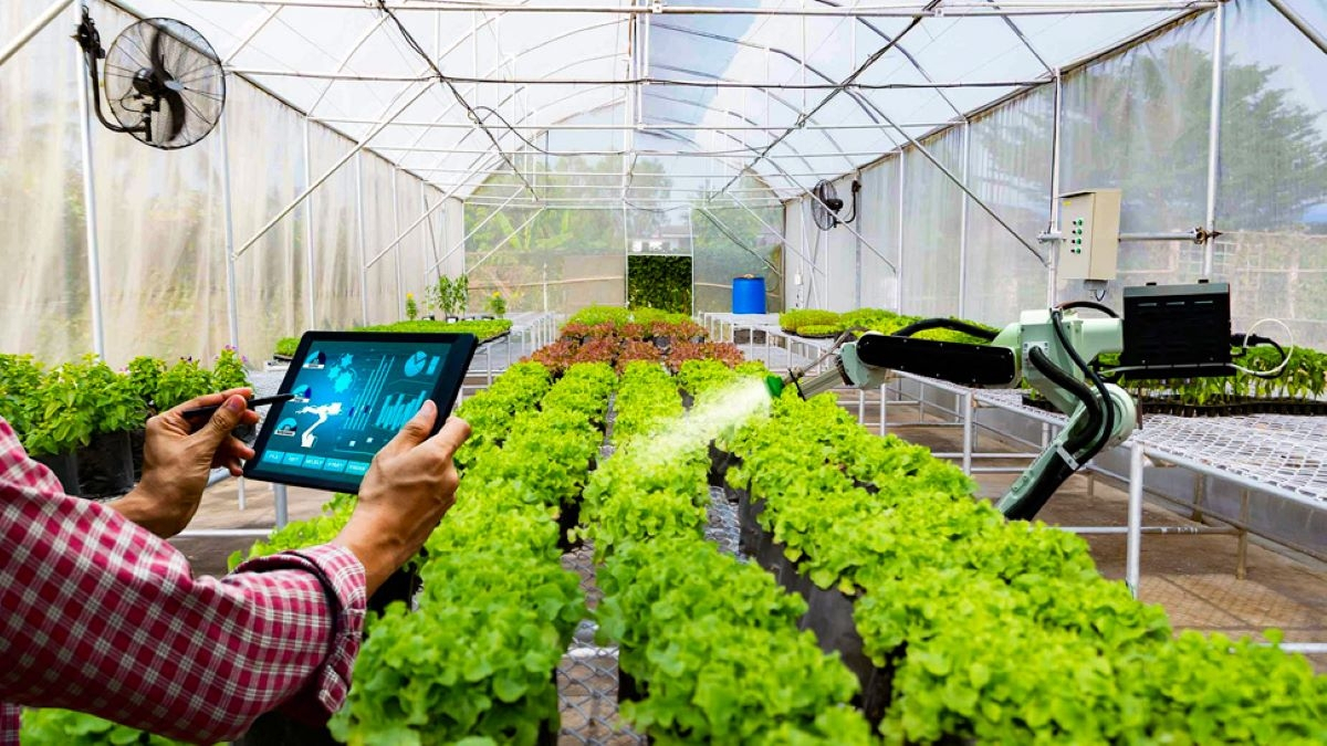 Ho&agrave;n thiện h&agrave;nh lang ph&aacute;p l&yacute; cho khu n&ocirc;ng nghiệp ứng dụng c&ocirc;ng nghệ cao