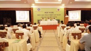 Giải ph&aacute;p ph&aacute;t triển sản xuất chanh leo bền vững