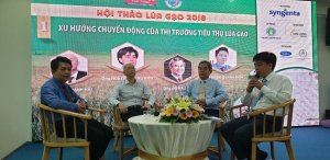 Gạo Việt Nam nhận diện thử th&aacute;ch trong giai đoạn mới