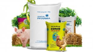  Xuất khẩu thức ăn gia s&uacute;c 6 th&aacute;ng năm 2024 đạt tr&ecirc;n 492,88 triệu USD