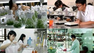Nhiều ch&iacute;nh s&aacute;ch ưu đ&atilde;i doanh nghiệp khoa học v&agrave; c&ocirc;ng nghệ
