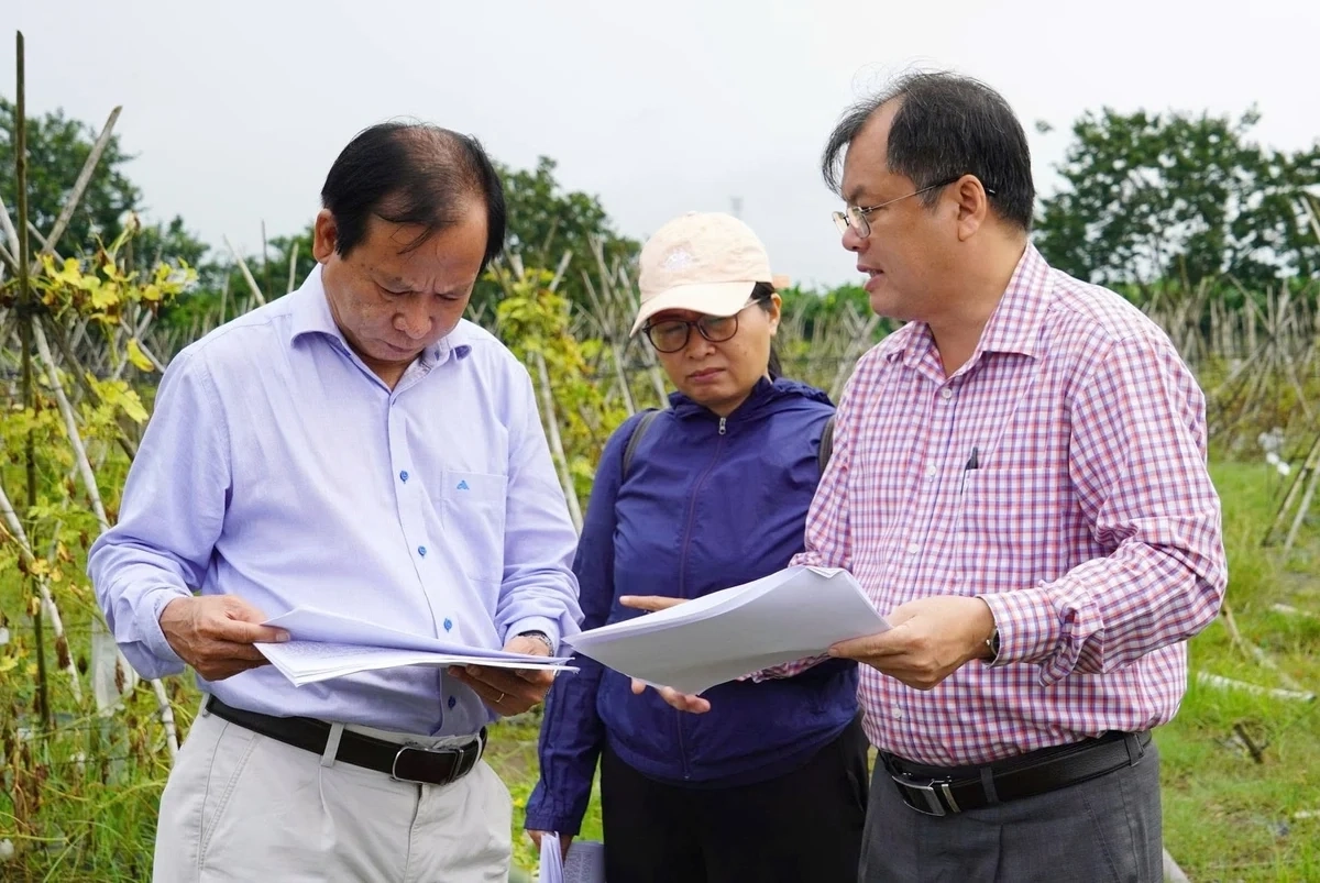 IAS - một thế kỷ phát triển cùng nông nghiệp Việt Nam 