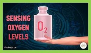 Tế b&agrave;o thiếu oxygen & Giải Nobel y học năm 2019