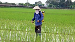 ĐBSH: Con người ảnh hưởng đến tải lượng ni tơ trong 20 năm như thế n&agrave;o?