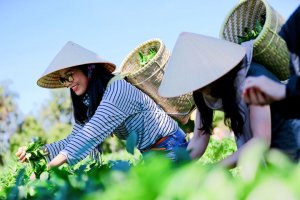 Để du lịch n&ocirc;ng nghiệp thực sự 