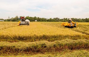 N&acirc;ng mục ti&ecirc;u xuất khẩu n&ocirc;ng l&acirc;m thủy sản năm 2024 l&ecirc;n 57 - 58 tỷ USD