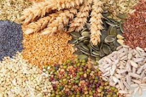 FAO: Chỉ số gi&aacute; thực phẩm th&aacute;ng 7/2016 giảm nhẹ