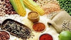 Ngũ cốc thế giới ng&agrave;y 9/6: Gi&aacute; ng&ocirc; v&agrave; đậu tương của Mỹ tăng