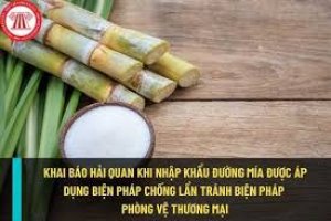 Dư cung đường trong ni&ecirc;n vụ 2022 - 2023 c&oacute; thể được thu hẹp