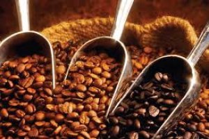 Gi&aacute; c&agrave; ph&ecirc; h&ocirc;m nay 21/8/2023: Gi&aacute; c&agrave; ph&ecirc; trong nước đạt mức trung b&igrave;nh 64.000 đồng/kg