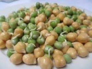 Tr&iacute; tuệ nh&acirc;n tạo gi&uacute;p lai tạo giống đậu g&agrave; năng suất cao