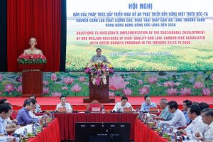 Đề &aacute;n một triệu h&eacute;c-ta l&uacute;a ph&aacute;t thải thấp: Kết quả th&iacute; điểm rất t&iacute;ch cực