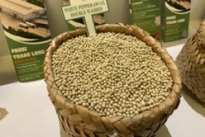 Lực mua từ Trung Quốc yếu, giá tiêu quay đầu giảm