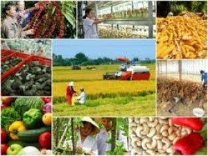 Tạo thuận lợi nhất để thu hút doanh nghiệp đầu tư vào nông nghiệp 