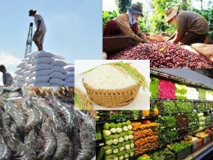 B&aacute;o c&aacute;o Triển vọng N&ocirc;ng nghiệp FAO-OECD 2024-2033: C&aacute;c nền kinh tế mới nổi sẽ dẫn đầu thị trường