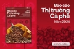 Thị trường c&agrave; ph&ecirc; năm 2024: Li&ecirc;n tiếp nhiều kỷ lục được thiết lập