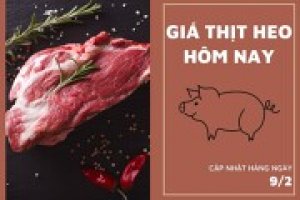 Gi&aacute; thịt heo h&ocirc;m nay 9/2: Nạc đ&ugrave;i heo đi ngang tại H&agrave; Hiền