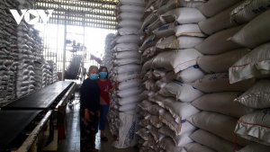 Hiệp định EVFTA mở ra cơ hội lớn chưa từng c&oacute; cho gạo Việt