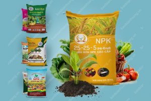  Xuất khẩu ph&acirc;n b&oacute;n 6 th&aacute;ng đầu năm 2024 tăng cả lượng v&agrave; kim ngach