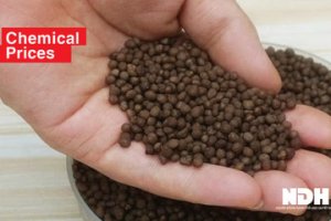 DAP, kali trong nước tăng đến 30.000 đồng/bao, ure giảm đến 15.000 đồng/bao