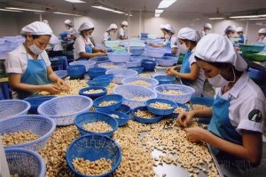 Th&aacute;ch thức k&eacute;p đang đ&egrave; nặng doanh nghiệp điều