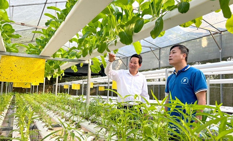 Kết nối sản xuất với đ&ocirc; thị, dinh dưỡng v&agrave; thị trường: Vai tr&ograve; chiến lược của n&ocirc;ng nghiệp đ&ocirc; thị tại Đồng bằng s&ocirc;ng Hồng