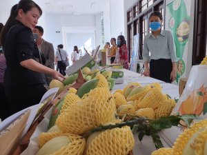Li&ecirc;n kết sản xuất, ti&ecirc;u thụ n&ocirc;ng sản l&agrave; c&aacute;ch thay đổi n&ocirc;ng nghiệp