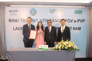 Việt Nam ch&iacute;nh thức tham gia nền tảng quản l&yacute; dữ liệu bảo hộ c&acirc;y trồng UPOV e-PVP kể từ ng&agrave;y 28/9/2023