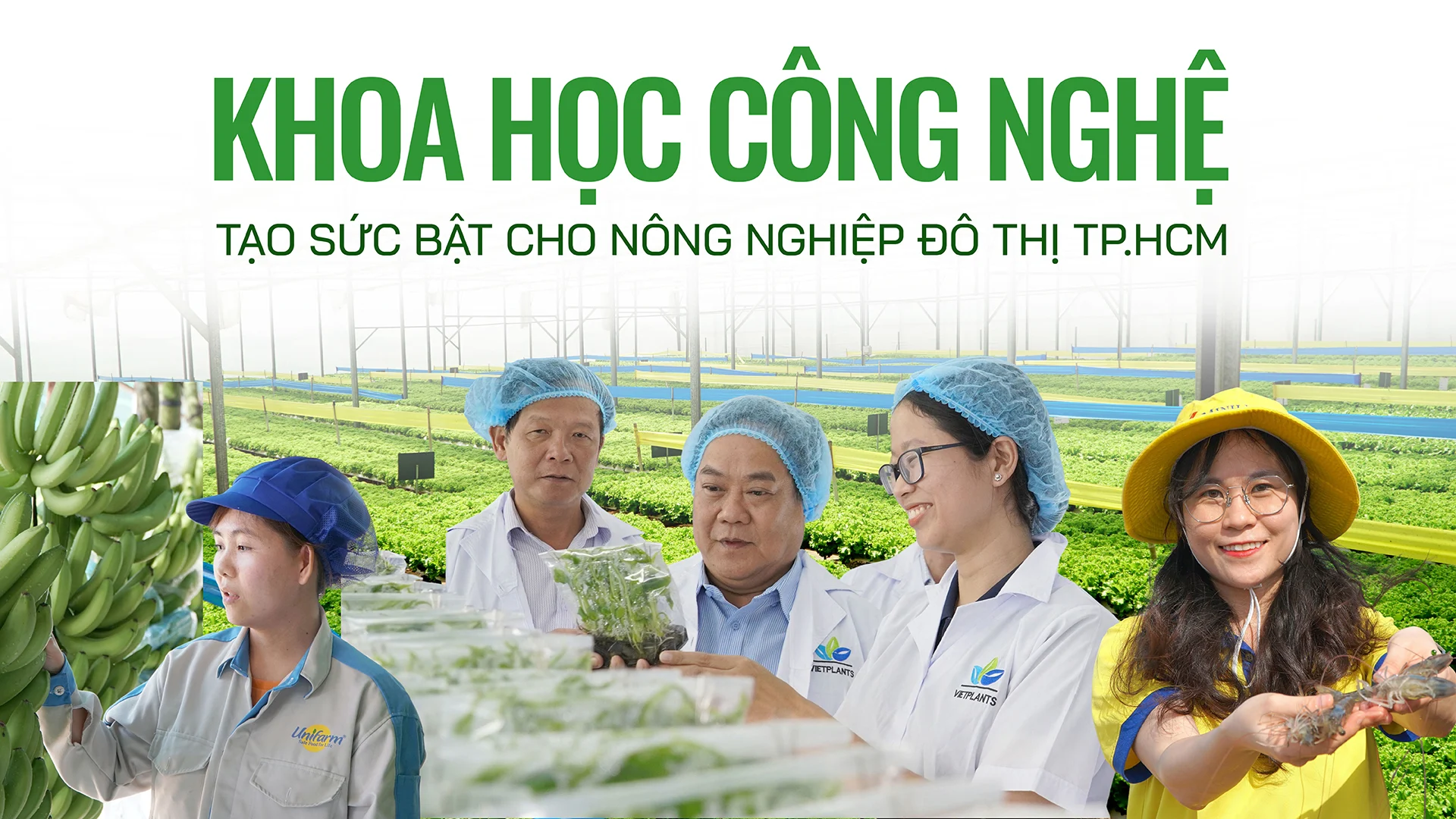Khoa học c&ocirc;ng nghệ tạo sức bật cho n&ocirc;ng nghiệp đ&ocirc; thị TP.HCM
