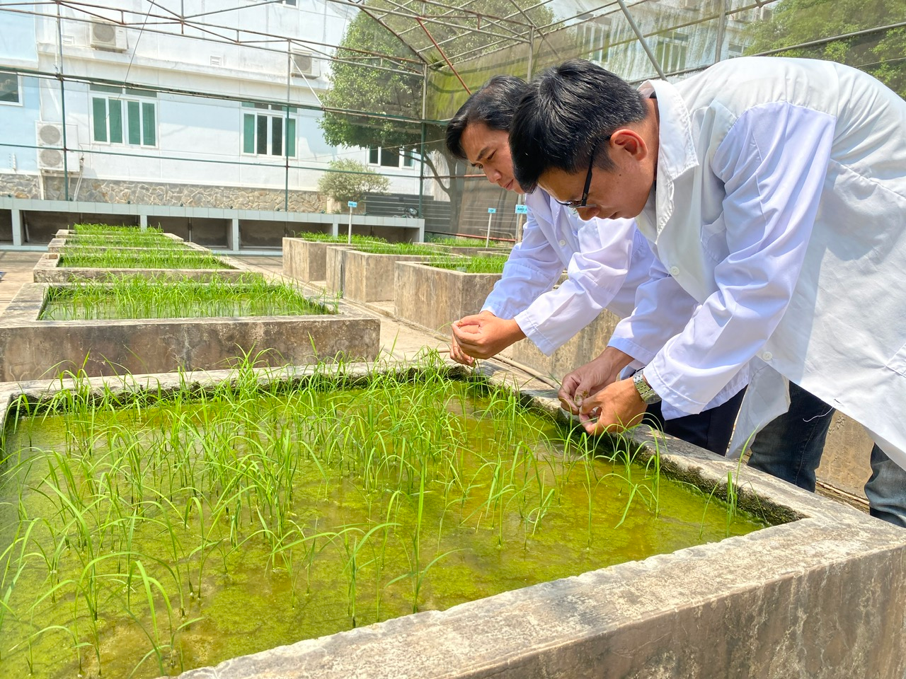 Khoa học c&ocirc;ng nghệ v&agrave; hệ sinh th&aacute;i giống: Đưa n&ocirc;ng nghiệp Việt ra thế giới