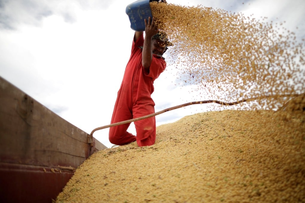 Khủng hoảng ng&agrave;nh đậu tương Mỹ