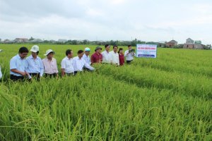 Đề xuất nhiều ch&iacute;nh s&aacute;ch khuyến n&ocirc;ng