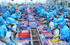Kiện to&agrave;n hệ thống SPS Việt Nam, n&acirc;ng cao hiệu quả c&aacute;c biện ph&aacute;p vệ sinh dịch tễ, kiểm dịch động, thực vật
