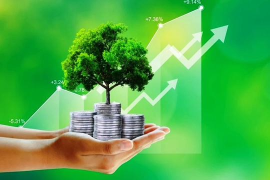 Kiến nghị đưa &ldquo;GDP xanh&rdquo;, &ldquo;tăng trưởng carbon thấp&rdquo; v&agrave;o hệ thống chỉ ti&ecirc;u ph&aacute;t triển quốc gia