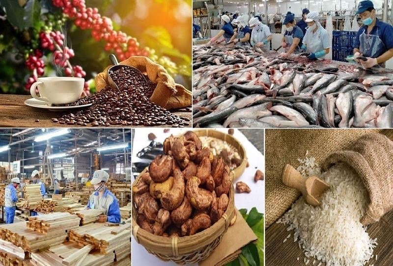 Kim ngạch xuất khẩu n&ocirc;ng, l&acirc;m, thủy sản 7 th&aacute;ng: Tăng trưởng t&iacute;ch cực từ c&aacute;c mặt h&agrave;ng chủ lực, đạt gần 40 tỷ USD