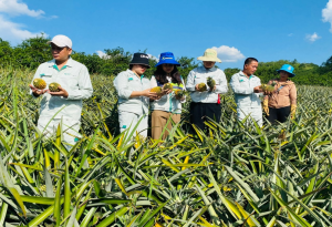 Khuyến n&ocirc;ng gặp nhiều th&aacute;ch thức trong qu&aacute; tr&igrave;nh chuyển đổi n&ocirc;ng nghiệp