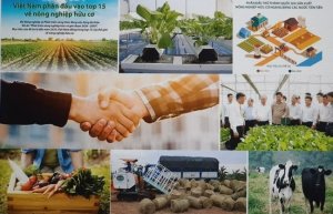Ph&aacute;t triển n&ocirc;ng nghiệp hữu cơ - Thuận lợi v&agrave; th&aacute;ch thức 