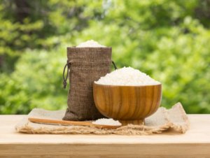 Hầu như tất cả c&aacute;c giống l&uacute;a được biết đến sẽ được bảo tồn m&atilde;i m&atilde;i